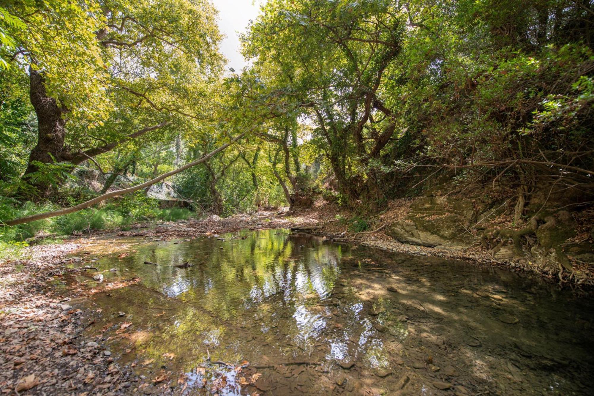 Serenity River Villa Палиохора Екстериор снимка