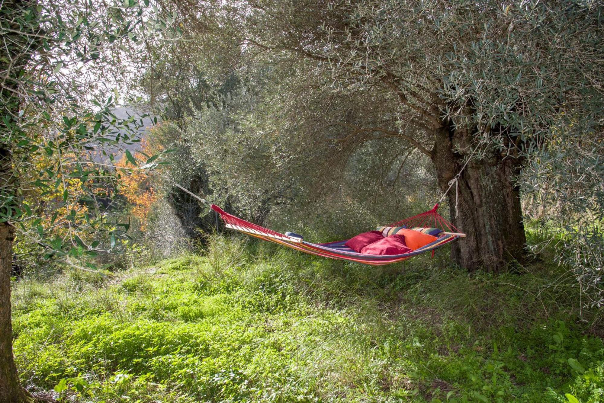 Serenity River Villa Палиохора Екстериор снимка